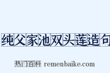 纯父家池双头莲造句是什么意思的图片